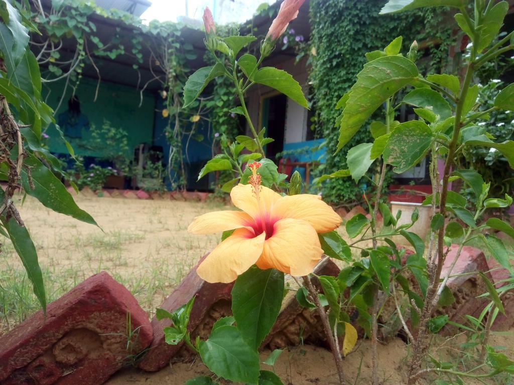 Rk Guest House Pushkar Exterior photo